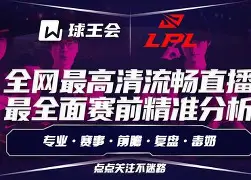 doinb回归直播