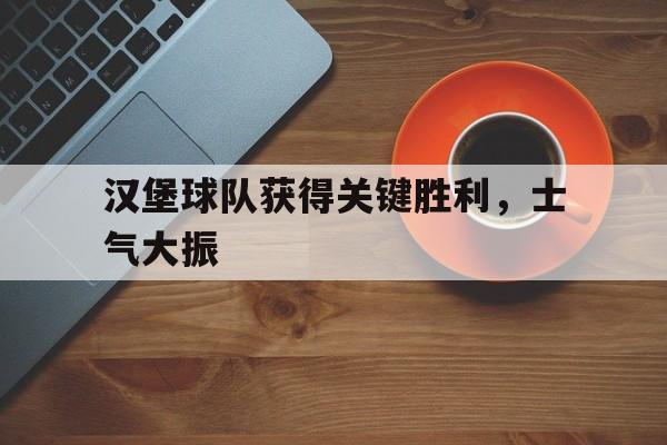 爱游戏注册-汉堡球员